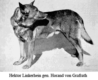 Гектор Линкерхайн